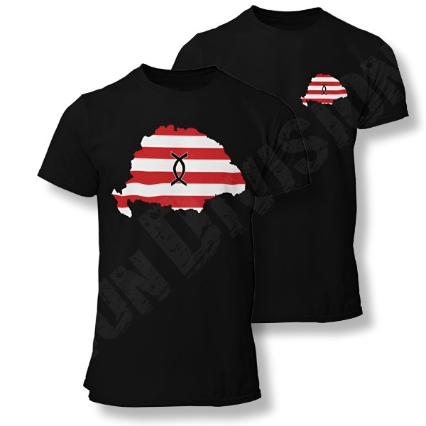 Nagy-Magyarország – Rovás H férfi póló